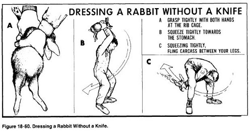 Dressing a rabit without a knife.