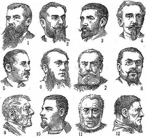 In 1800s vintage illustration man facial hair beard styles.