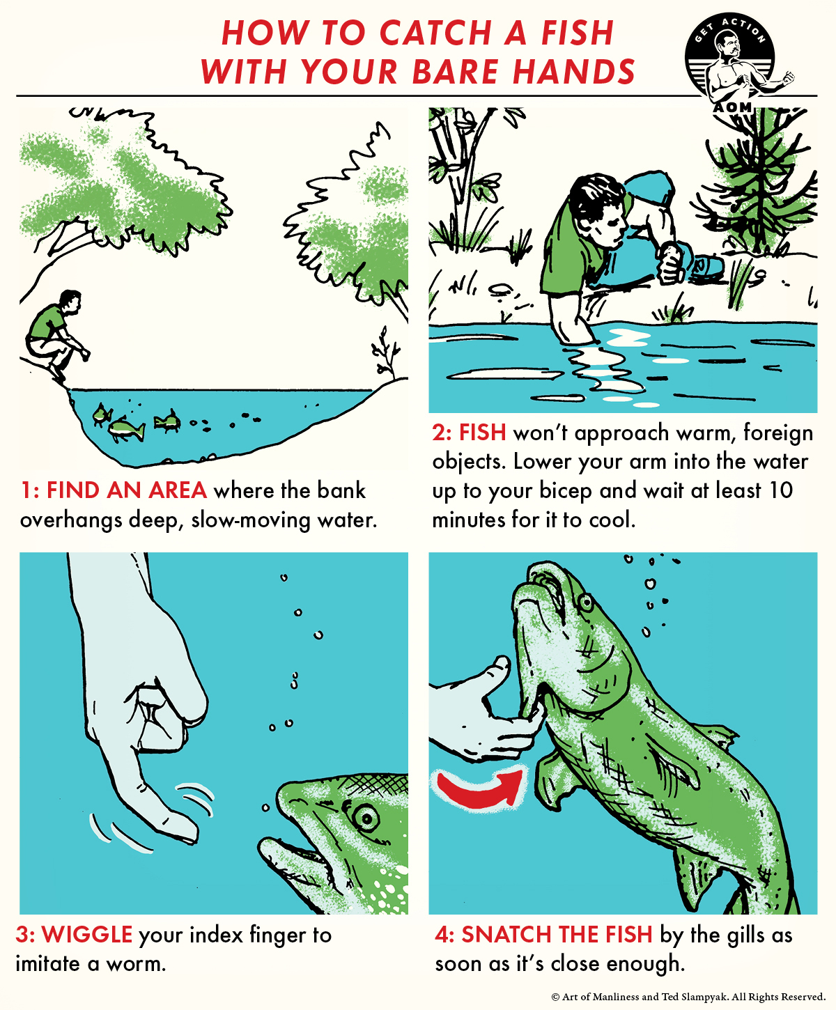 illustrated step-by-step guide how to catch a fish with bare hands.