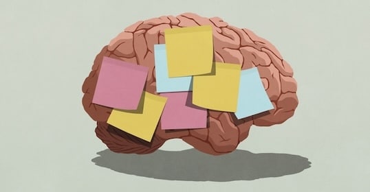 Illustration of a human brain covered with colorful sticky notes, each labeled with different age and memory-related terms, against a light gray background.