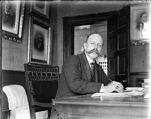 Well maintained Mustache or beard can define your occupation.