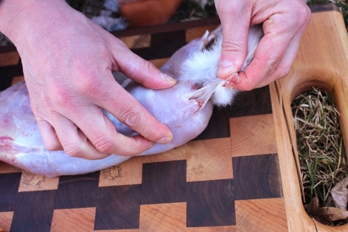Man cutting off the rabbit tail.