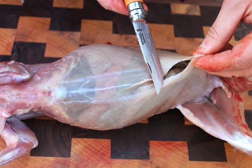 Man use incision to cutting off the body of rabbit.