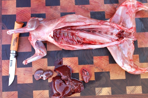 The different parts of rabbit body.