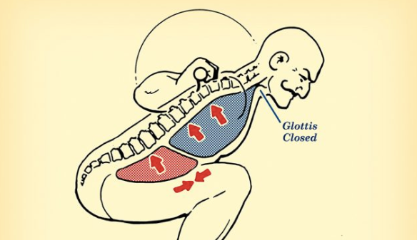 A diagram of a person's back, highlighting the location of the lumbar spine.