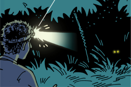 An illustration of a man with a flashlight in the woods, trying to catch a frog.