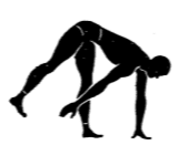 Army physical training gorilla bear walk.