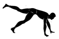 Army physical training Gorilla lame Dog.