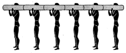 Army physical training right shoulder position left.