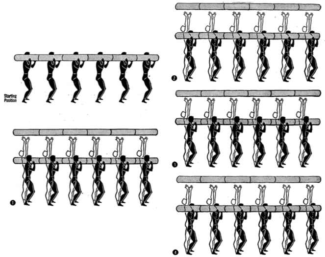 Army physical training log overhead toss.