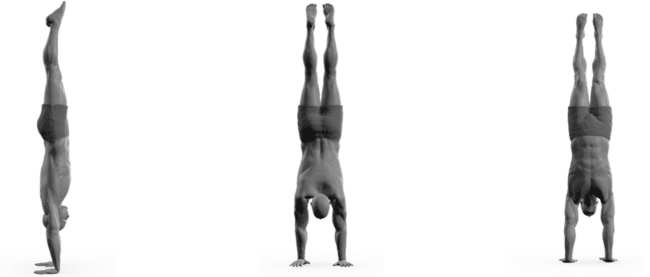 Freestanding Handstand exercise illustration.